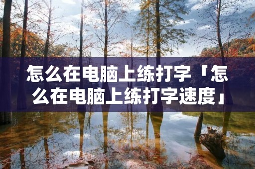 怎么在电脑上练打字「怎么在电脑上练打字速度」