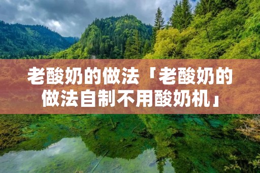 老酸奶的做法「老酸奶的做法自制不用酸奶机」
