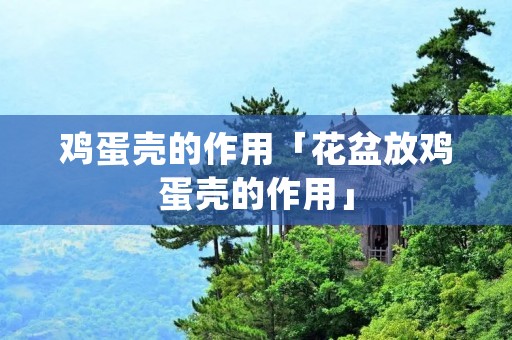 鸡蛋壳的作用「花盆放鸡蛋壳的作用」