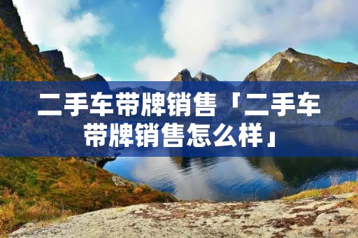 二手车带牌销售「二手车带牌销售怎么样」
