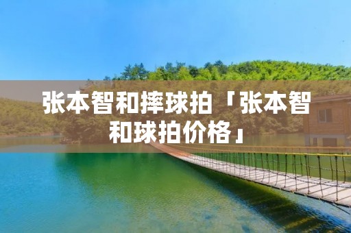 张本智和摔球拍「张本智和球拍价格」