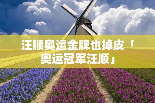 汪顺奥运金牌也掉皮「奥运冠军汪顺」
