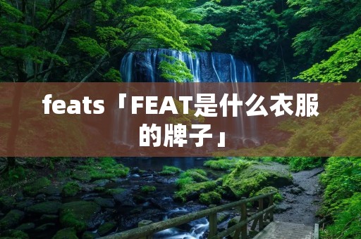 feats「FEAT是什么衣服的牌子」