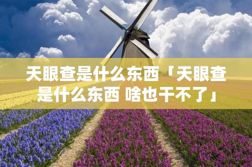 天眼查是什么东西「天眼查是什么东西 啥也干不了」