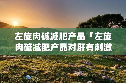 左旋肉碱减肥产品「左旋肉碱减肥产品对肝有刺激吗会伤害肝吗」