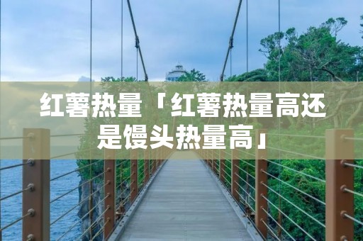 红薯热量「红薯热量高还是馒头热量高」