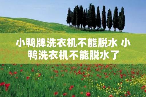 小鸭牌洗衣机不能脱水 小鸭洗衣机不能脱水了