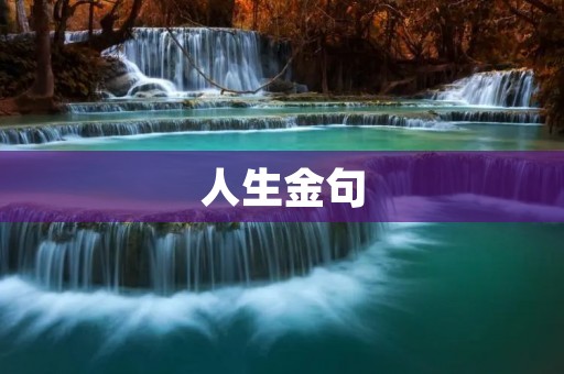 人生金句：引领你迈向成功的智慧箴言