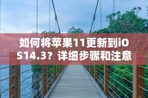 如何将苹果11更新到iOS14.3?详细步骤和注意事项