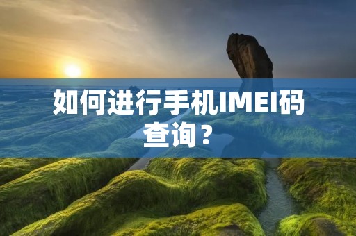 如何进行手机IMEI码查询？