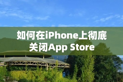如何在iPhone上彻底关闭App Store
