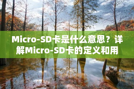 Micro-SD卡是什么意思？详解Micro-SD卡的定义和用途