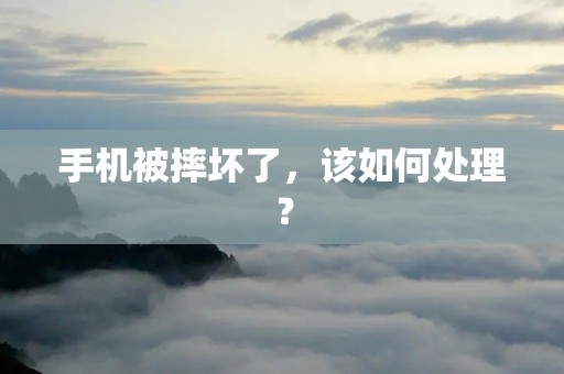 手机被摔坏了，该如何处理？