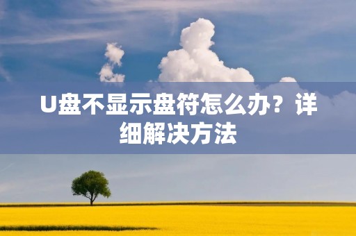 U盘不显示盘符怎么办？详细解决方法