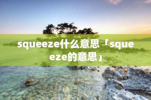 squeeze什么意思「squeeze的意思」