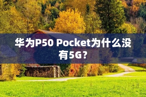 华为P50 Pocket为什么没有5G？