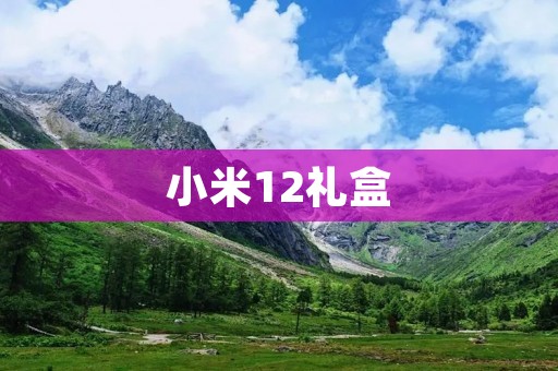小米12礼盒:送礼佳品,体验极致