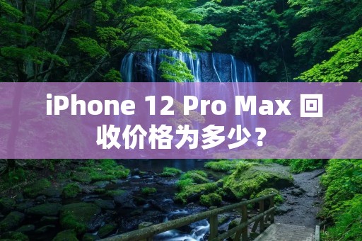 iPhone 12 Pro Max 回收价格为多少?