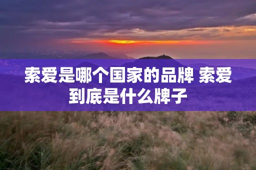 索爱是哪个国家的品牌 索爱到底是什么牌子