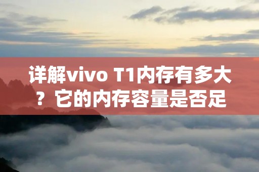 详解vivo T1内存有多大?它的内存容量是否足够满足用户需求?