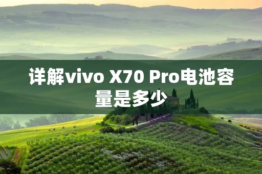 详解vivo X70 Pro电池容量是多少