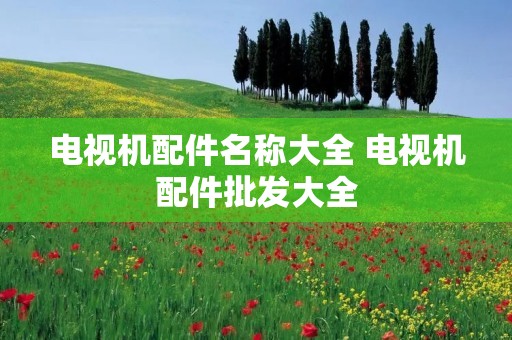 电视机配件名称大全 电视机配件批发大全