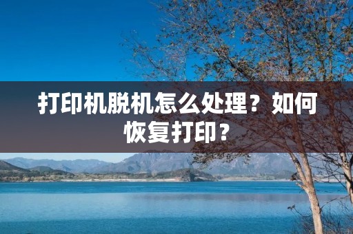 打印机脱机怎么处理？如何恢复打印？