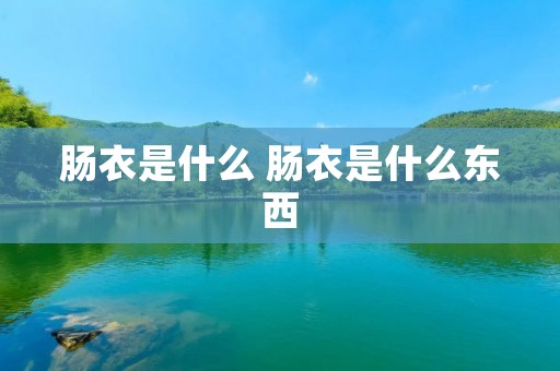 肠衣是什么 肠衣是什么东西