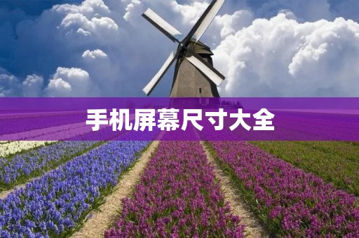 手机屏幕尺寸大全：常见手机屏幕尺寸有哪些？