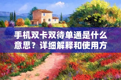手机双卡双待单通是什么意思？详细解释和使用方法