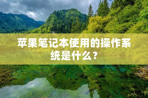 苹果笔记本使用的操作系统是什么？