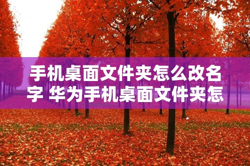 手机桌面文件夹怎么改名字 华为手机桌面文件夹怎么改名字