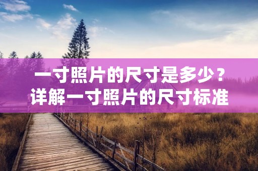 一寸照片的尺寸是多少？详解一寸照片的尺寸标准以及常见用途