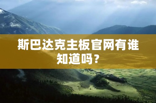 斯巴达克主板官网有谁知道吗?