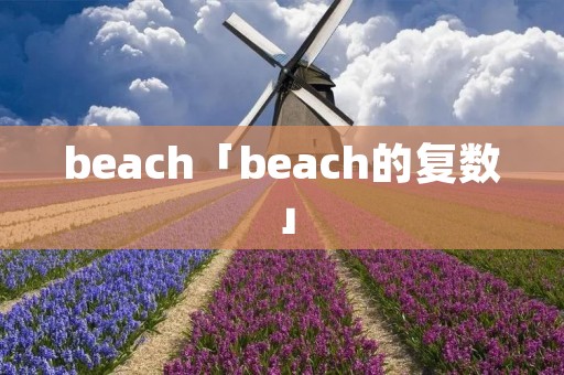 beach「beach的复数」 beach「beach的复数」