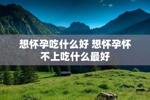 想怀孕吃什么好 想怀孕怀不上吃什么最好