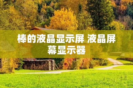 棒的液晶显示屏 液晶屏幕显示器