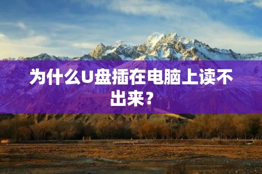 为什么U盘插在电脑上读不出来?