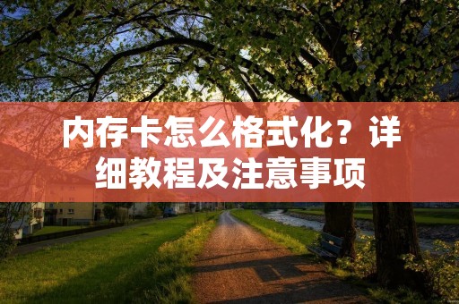 内存卡怎么格式化？详细教程及注意事项