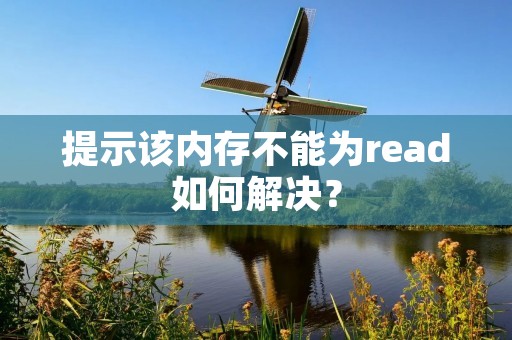 提示该内存不能为read如何解决?
