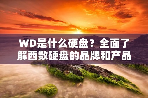 WD是什么硬盘?全面了解西数硬盘的品牌和产品