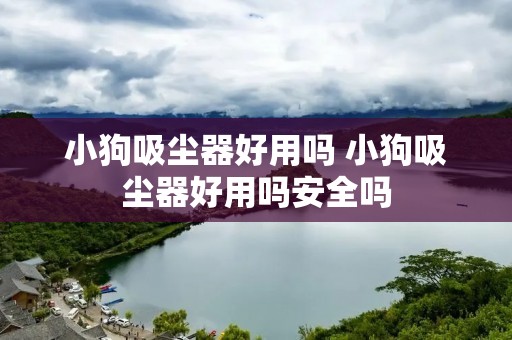小狗吸尘器好用吗 小狗吸尘器好用吗安全吗 小狗吸尘器好用吗 小狗吸尘器好用吗安全吗