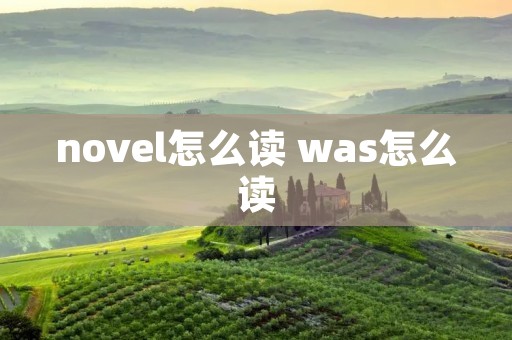 novel怎么读 was怎么读