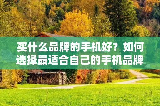 买什么品牌的手机好?如何选择最适合自己的手机品牌?