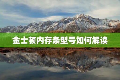金士顿内存条型号如何解读