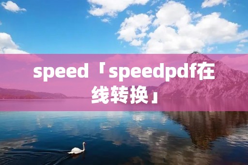 speed「speedpdf在线转换」
