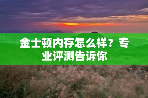 金士顿内存怎么样?专业评测告诉你
