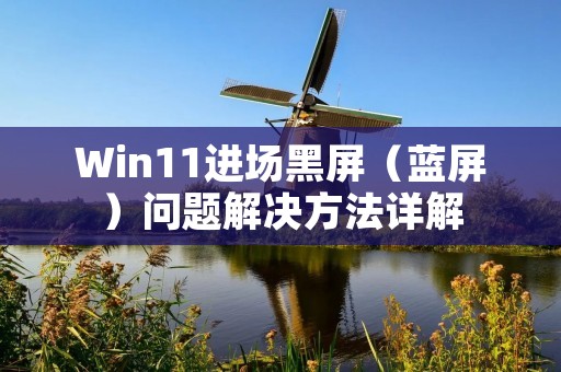 Win11进场黑屏（蓝屏）问题解决方法详解