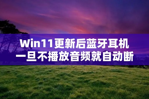 Win11更新后蓝牙耳机一旦不播放音频就自动断开,需要重启耳机才能有声音的解决方法
