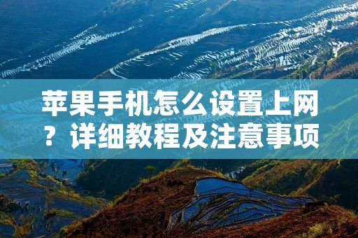 苹果手机怎么设置上网?详细教程及注意事项